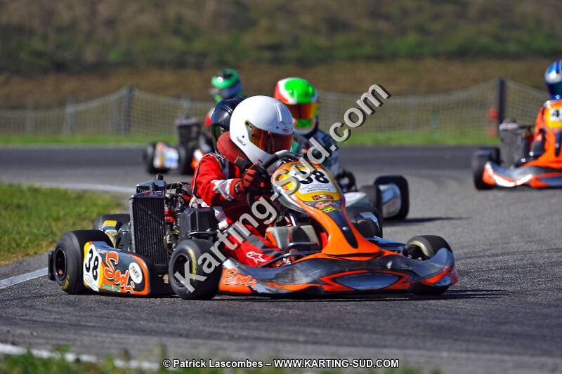 DSC_ (1670).jpg